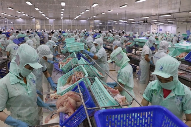 More processing plants licensed to export pangasius to US